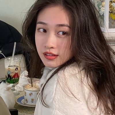 欧陆战争4拿破仑hd破解版下载
